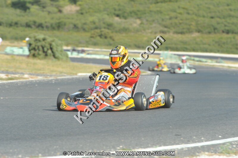 DSC (4110).JPG